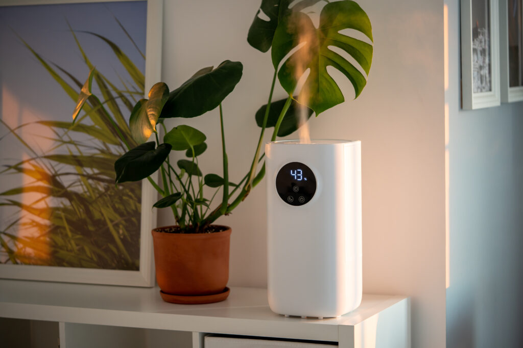 Modern humidifier at home, moistens dry air surrounded by indoor plant Apartment with moisturizer